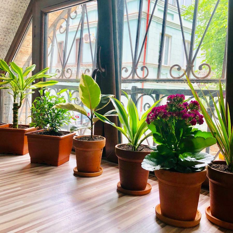 Hb Apartments Akhvelediani II ティビリシ エクステリア 写真